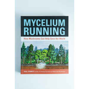 Mycelium Running Front View