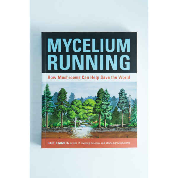 Mycelium Running Front View