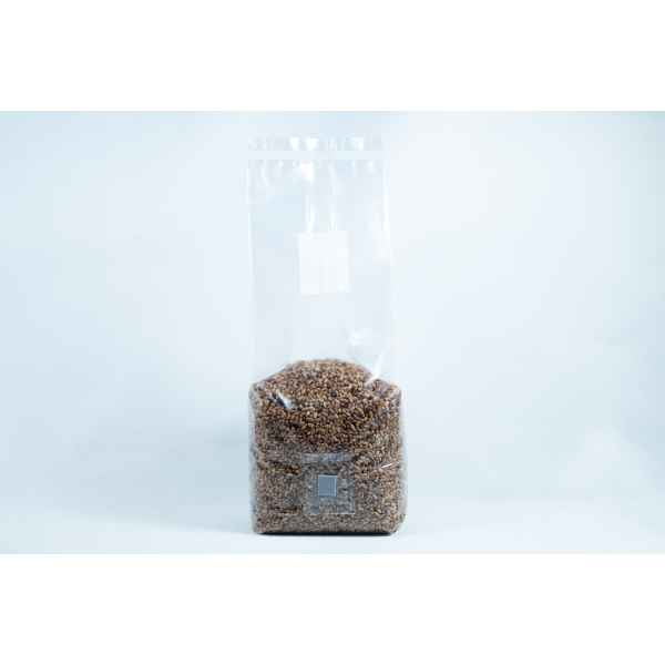 Whole Bag 2Kg Pre sterilised rye mushroom grains w_inj port and air-filter