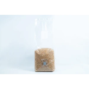 Whole bag Pre sterilised millet mushroom grain bag 2Kg 1 scaled