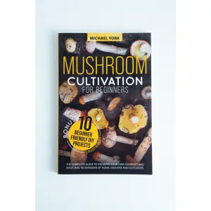 Mushroom Cultivation For Beginners Front View