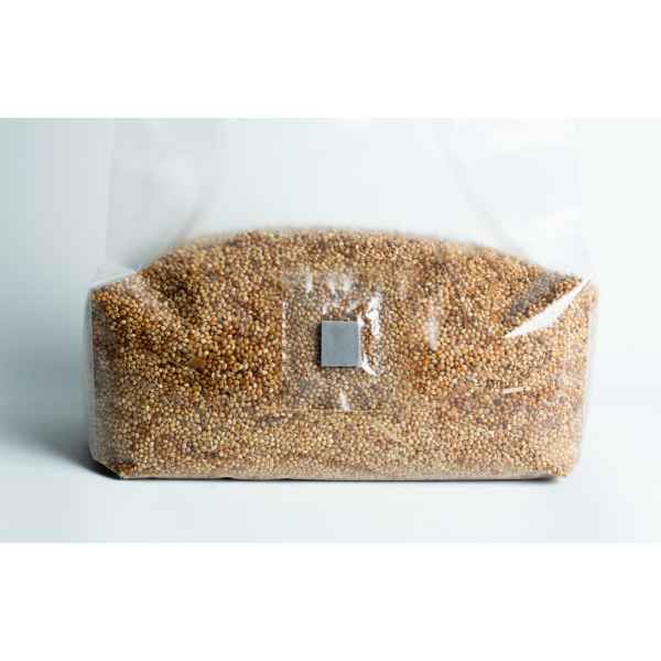 2kg-3T-Pre-sterilized millet mushroom grains w_inj port and digital instructions