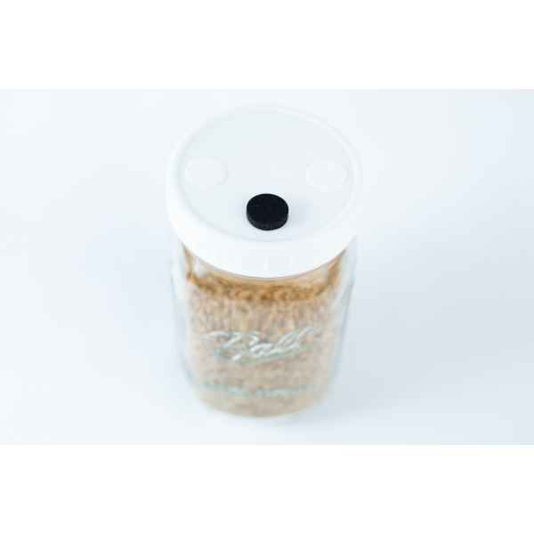 1000 liter Millet Jar Grain top view