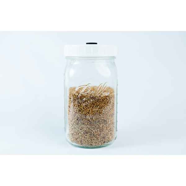 1000 liter Millet Jar Grain