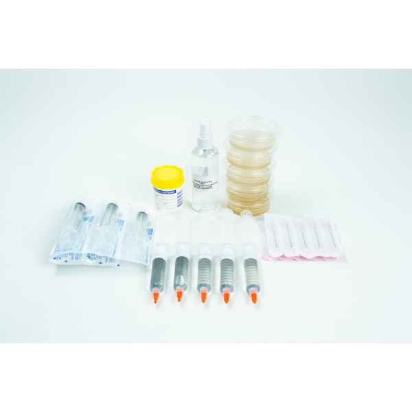 Spore Print to Spore syringe transfer Kit