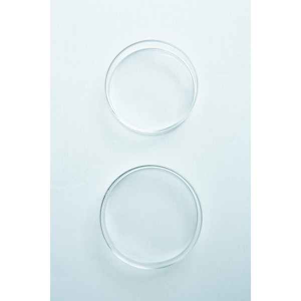 Borosilicate Glass Petri Dishes