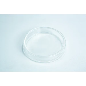 Glass Petri dish