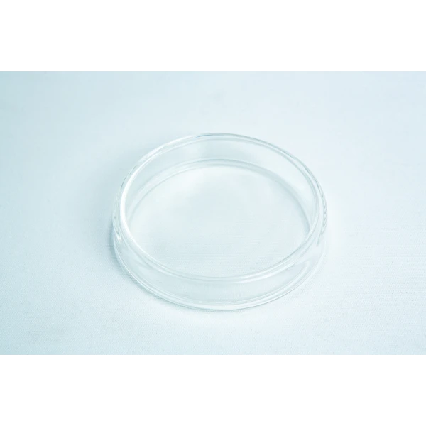 Glass Petri dish