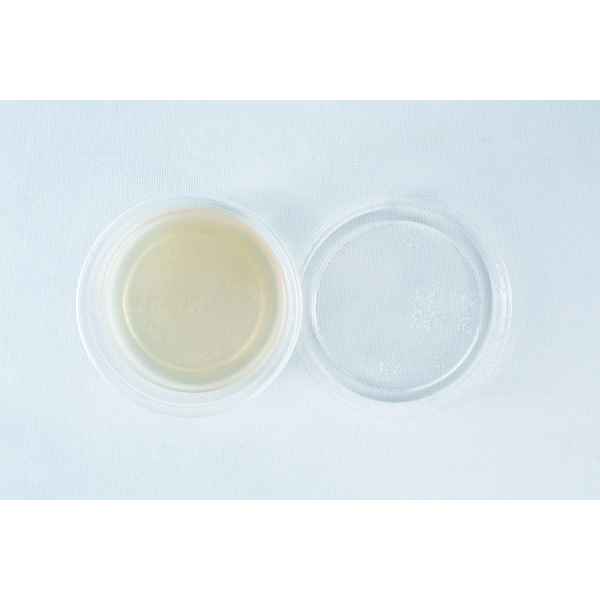 Biodegradable agar cups inside view