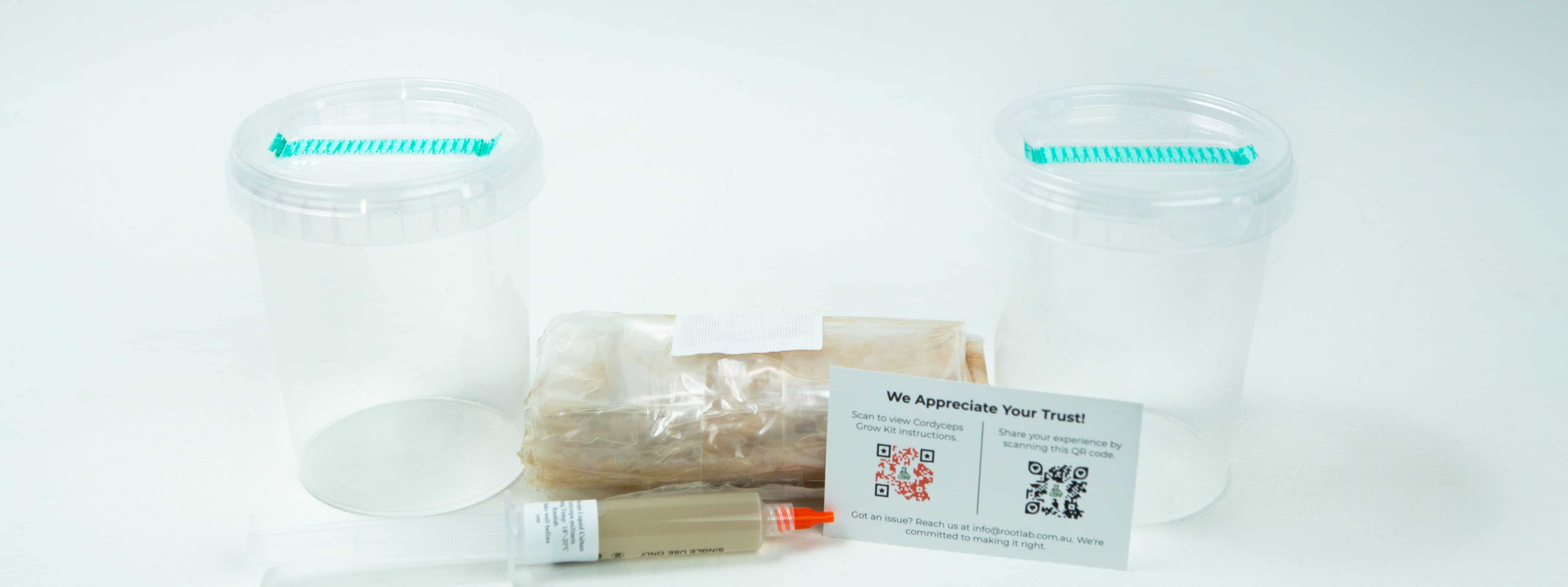 Rootlab cordycep kit with container, Substrate, Alcohol and cordyceps militaris syringe.